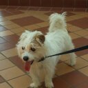 Michelle Killough - @MichelleKilloug - Twitter