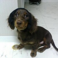nihatea (@nihatea) Twitter profile photo