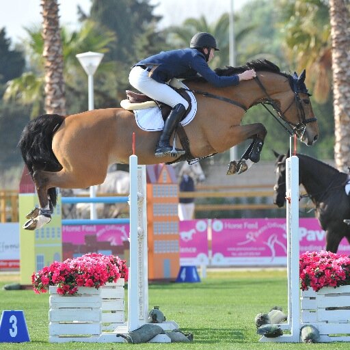 Show Jumping rider at Davison Equestrian | @davisondressage | @tomdavison1