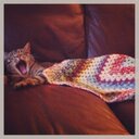 Marcel Dickson - @marceldicks438 - Twitter