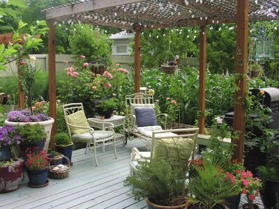 #Garden #Maintenance in #Crewe #Nantwich #Willaston #Wistaston #Free #Quotes Call: 07428122071