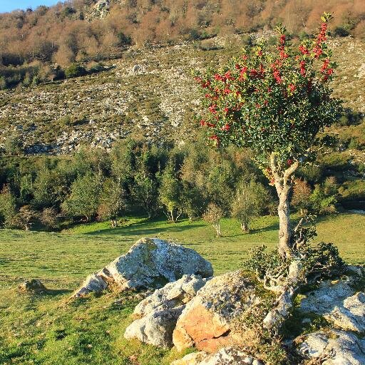 AArturoRC's profile picture. 