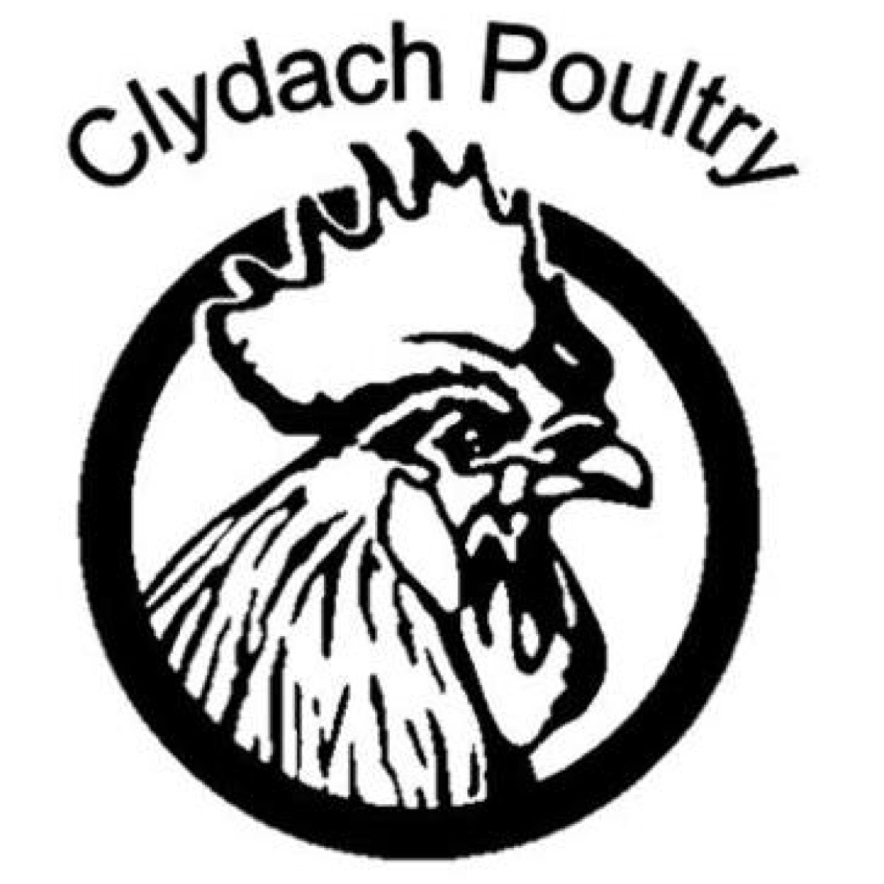 Multi-Awarding Winning Free Range Chickens, Products and Agricutural Store. Animal Feed Manufacture. Hen Boarding. Tweets by Derry! Also at: @ClydachFarm