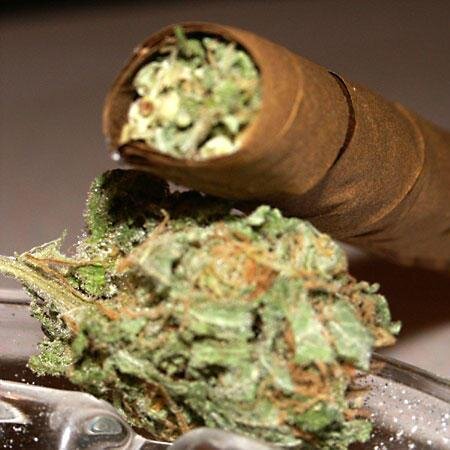 one stop online shop for the best grades of Kush. Juz hit that DM button.
