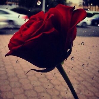 اسْتغّفرُ اللہ العظيمْ واتوبُ اليہ .♡
