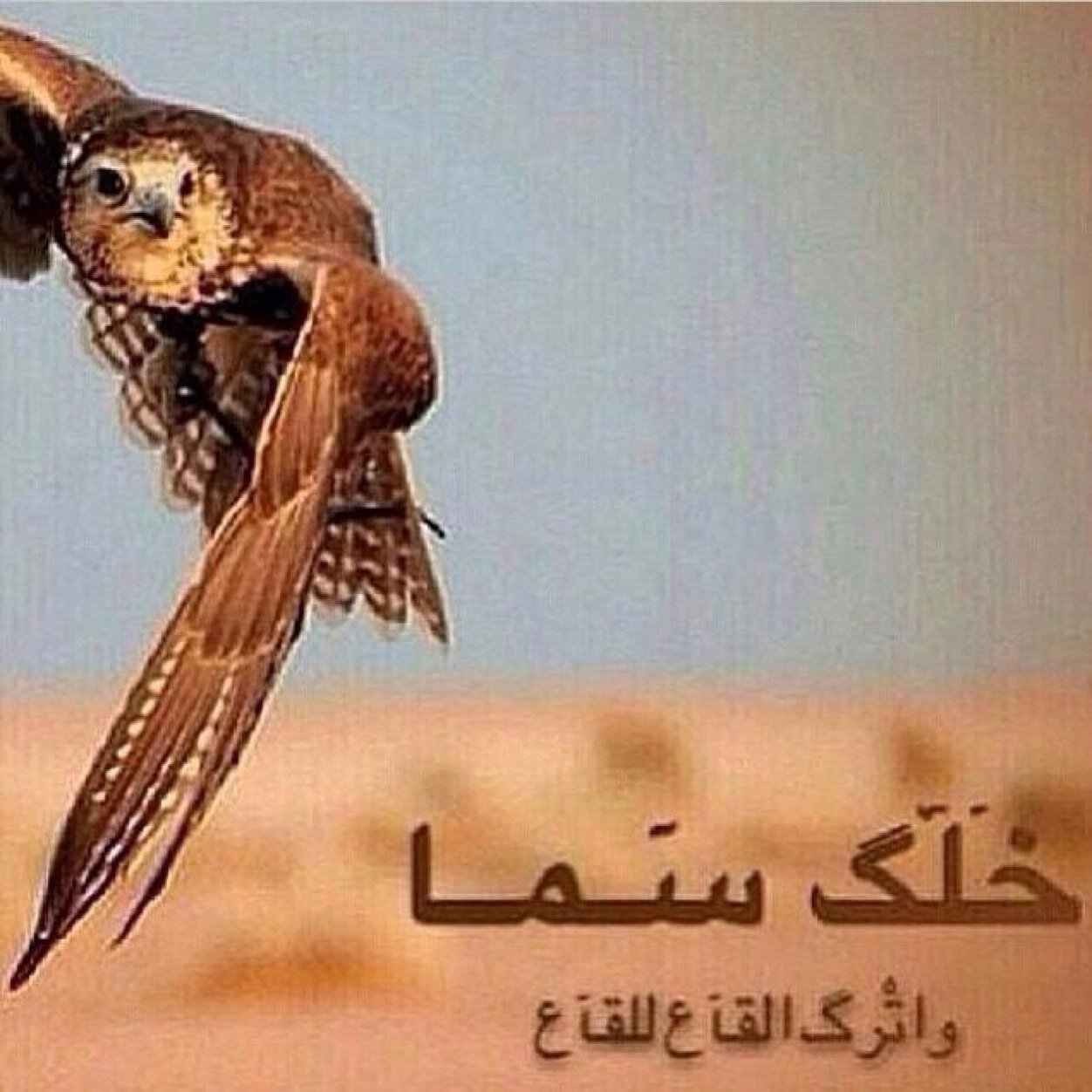 arnoldf44's profile picture. UAE, Abu Dhabi

الامارات ،أبوظبي.