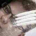 #TeamFries Cool Lesbian Die Hard partyer Who loves Great Music Good Friends the best things in life Are not free Duhh