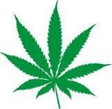 Keep Blazin And Stay Amazing♥