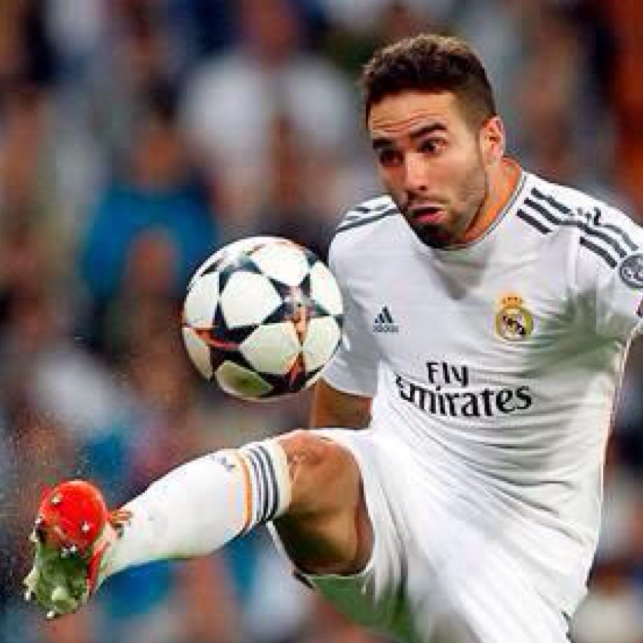 The best Riteback in Spain.