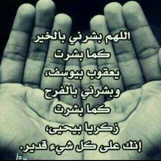 ebrahimhamad3's profile picture. 