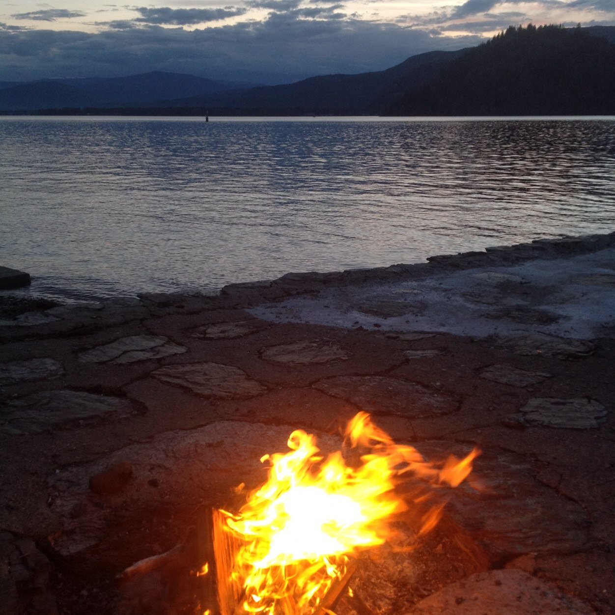 JenV18's profile picture. proud hockey mom