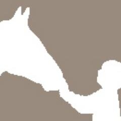 horsesandhope's profile picture. MANE teaches children and adults with various disabilities horse back riding skills.