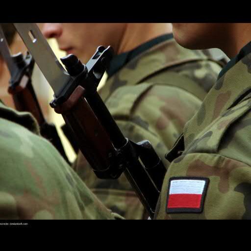 Visit Siły Zbrojne Polski Profile