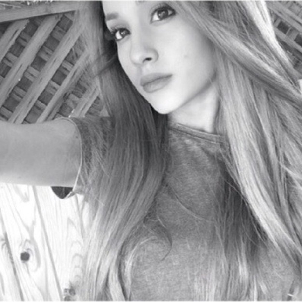 free follow bc ily