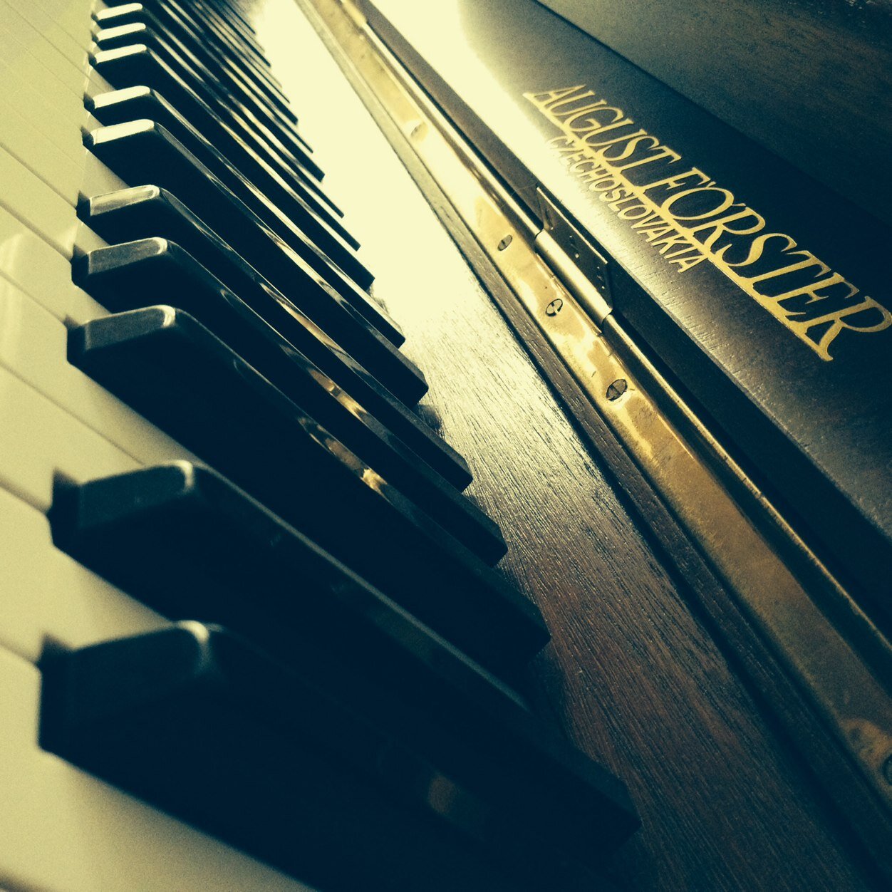 Discover music. Make music. Breath music. Live music.. @Belgium