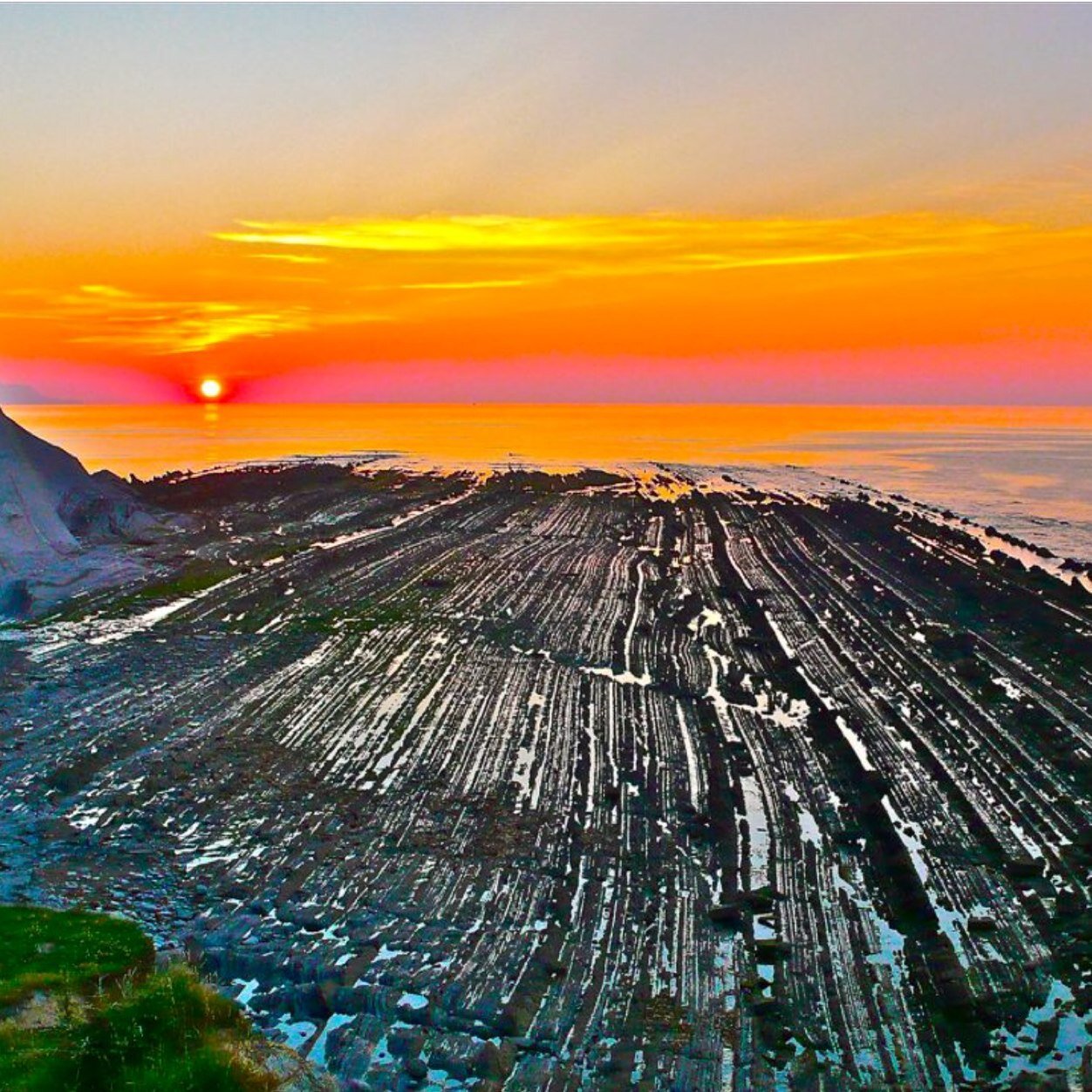 anderealko's profile picture. 