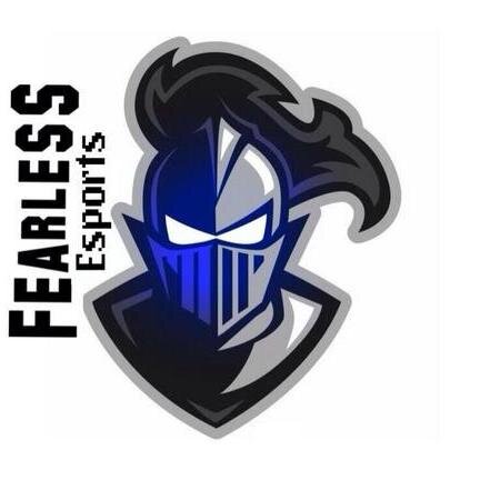 FearLess eSports!! Powered By- @MaximusCustoms,@tagscustoms, @NoScopeGlasses, and @AwesomeTourneys @CinchGaming! Strive For Greatness