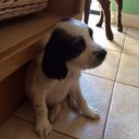 Ryan Buxton - @Ryan1997B - Twitter