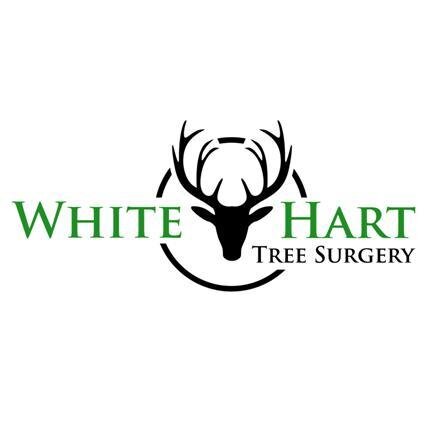 Based in Kendal, White Hart Tree Surgery and Garden Maintenence covers all aspects of tree surgery and garden care. info@whiteharttrees.co.uk