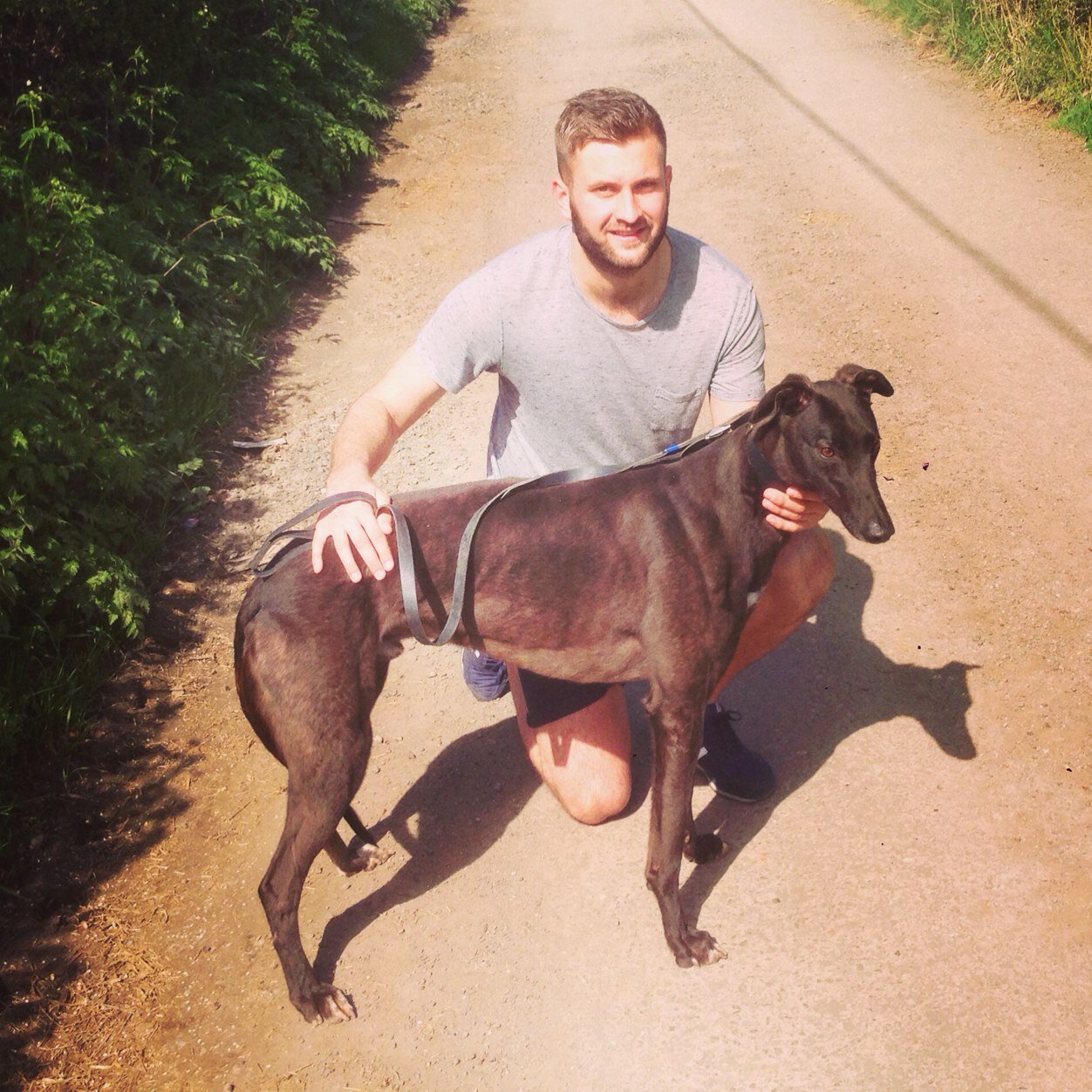 Play and lay on HOVE and OR. Time to time give out the odd tip. Give us a follow for winners and dog racing chat