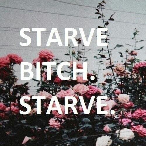 Dinallie. French. 15. Stay strong.
        
[52] 51 50 49 48 47.