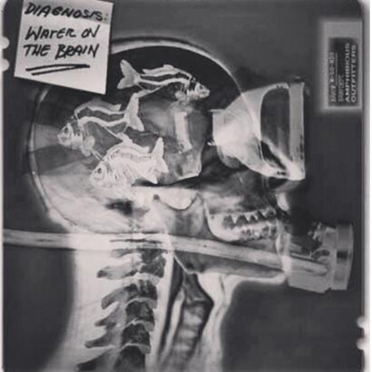 BucBayScuba's profile picture. Trianing and Equiping North Mississppi Divers for over 30 years. #PADI #MARES #MUWScuba