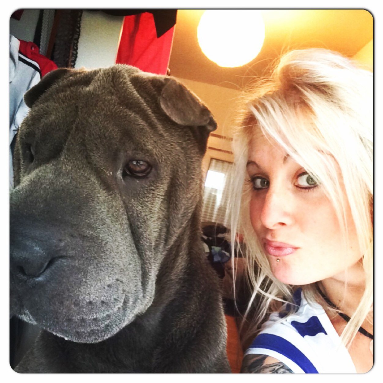 Sharpei 🐕 Running 🏃🏼‍♀️danseuse💃🏼tattoo💉💀