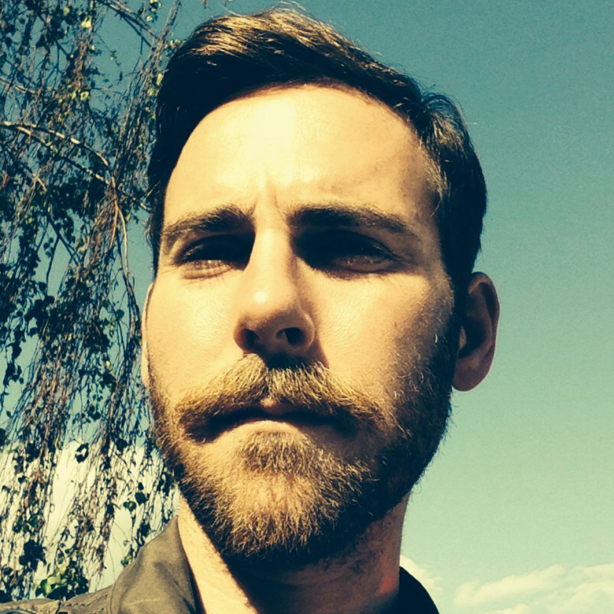 Dopetron's profile picture. Bulbis Enologist