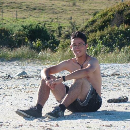 Soy un joven chileno, estudiante de ing informática 4ºaño y me gusta estar informado de una forma transparente, tambien me gusta mucho la música y el deporte.