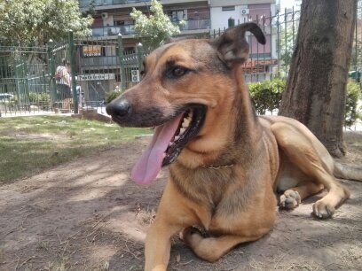 josel_mc's profile picture. 