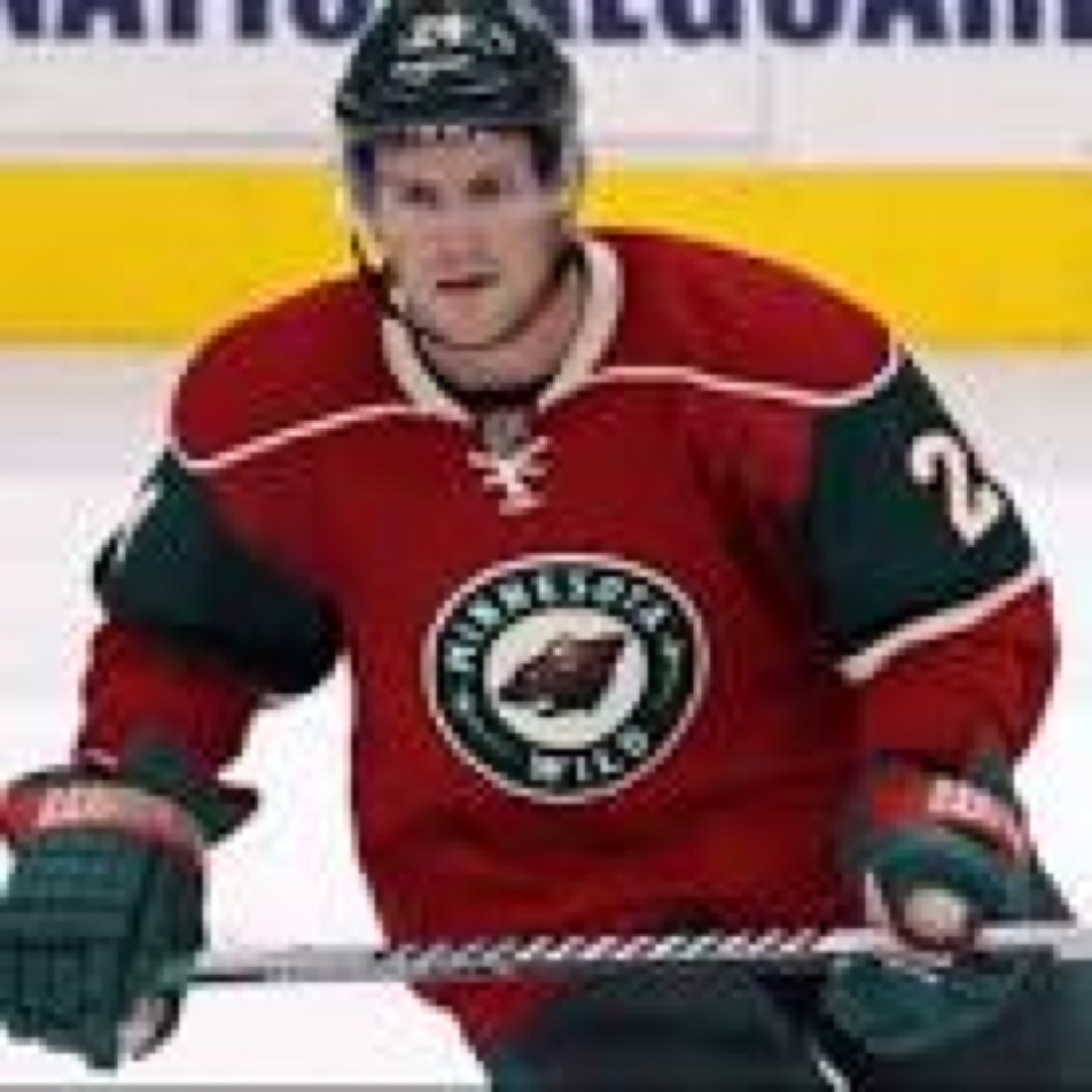 I am the biggest goon in the nhl in socitys opinon *parody* backround by - @editnhl #iwishihad50in07