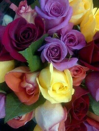 ‏انا من مقيم السعودية جده حاب اتعرف على بنوته دلوعه  رقمي واتساب 00966536800058@