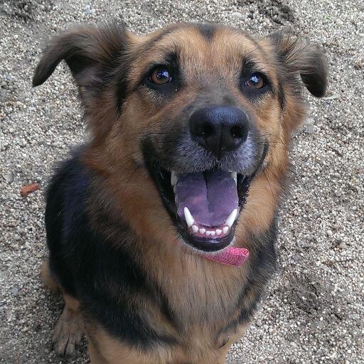 carmen_whyyou's profile picture. Originally from Mexico. Now living in NYC with my butler. Washington Sq Park is my hood. Natural socialite and philanthropist. I've been told I have pretty eyes