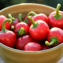 William DeWitt - @BDeWitt225 - Twitter