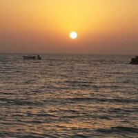 بحر (@hussaina0013) 's Twitter Profile