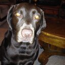 Ginger Calhoun - @glbeckett - Twitter