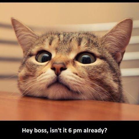 mohndahmd95's profile picture. 