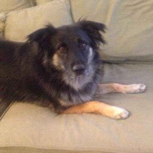 Alisha_Gordon's profile picture. Living and Loving Life.