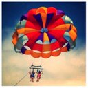 Dawn Popp - @PoppDawn - Twitter