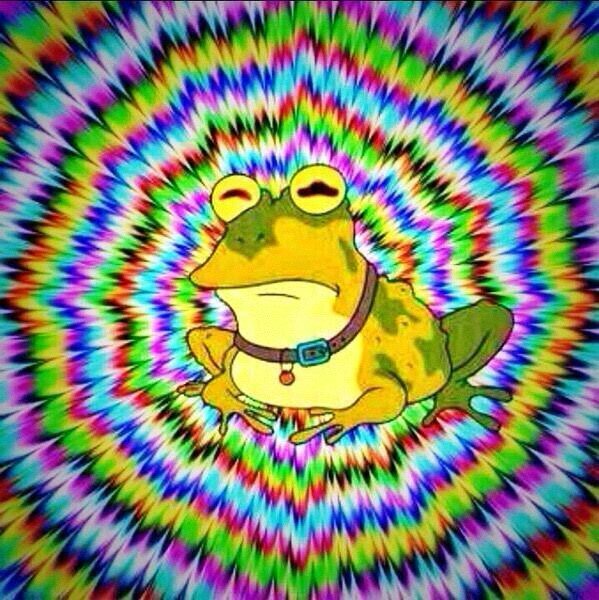 Borelus_'s profile picture. 