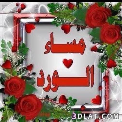 okart1000's profile picture. 