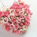 Katie Hammonds - @KatieHammonds17 - Twitter