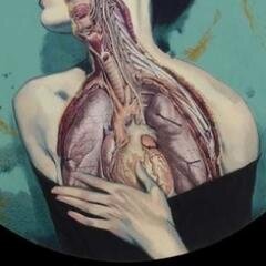 _UNdeveloped's profile picture. collettivo di gente che fa vedere le cose ad altra gente  //  collective of people who show things to other people.