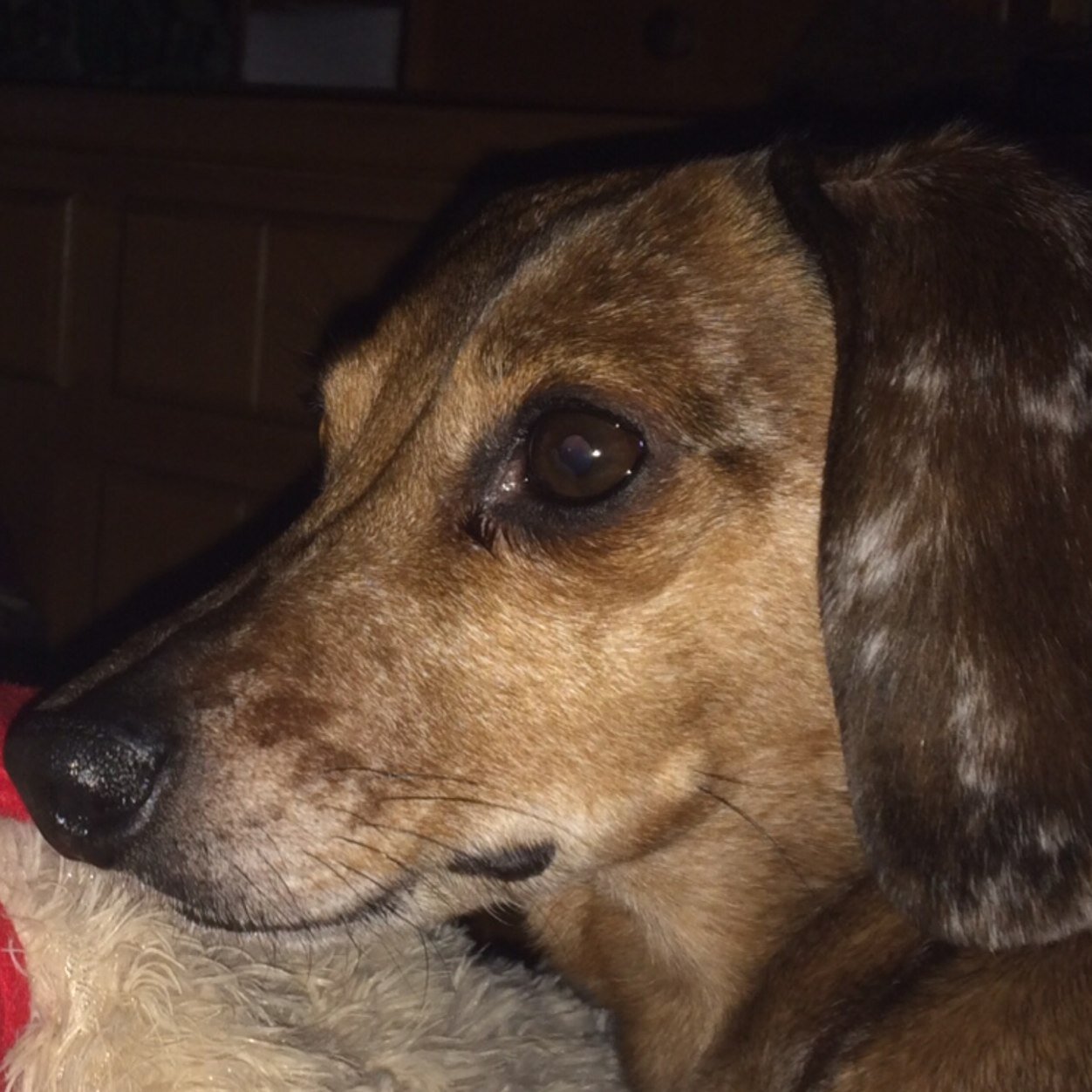 LTNance's profile picture. 