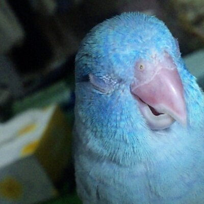 ゆたか
