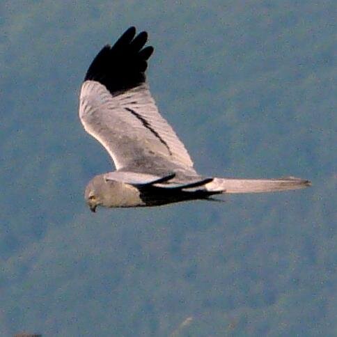 Carlastros's profile picture. 