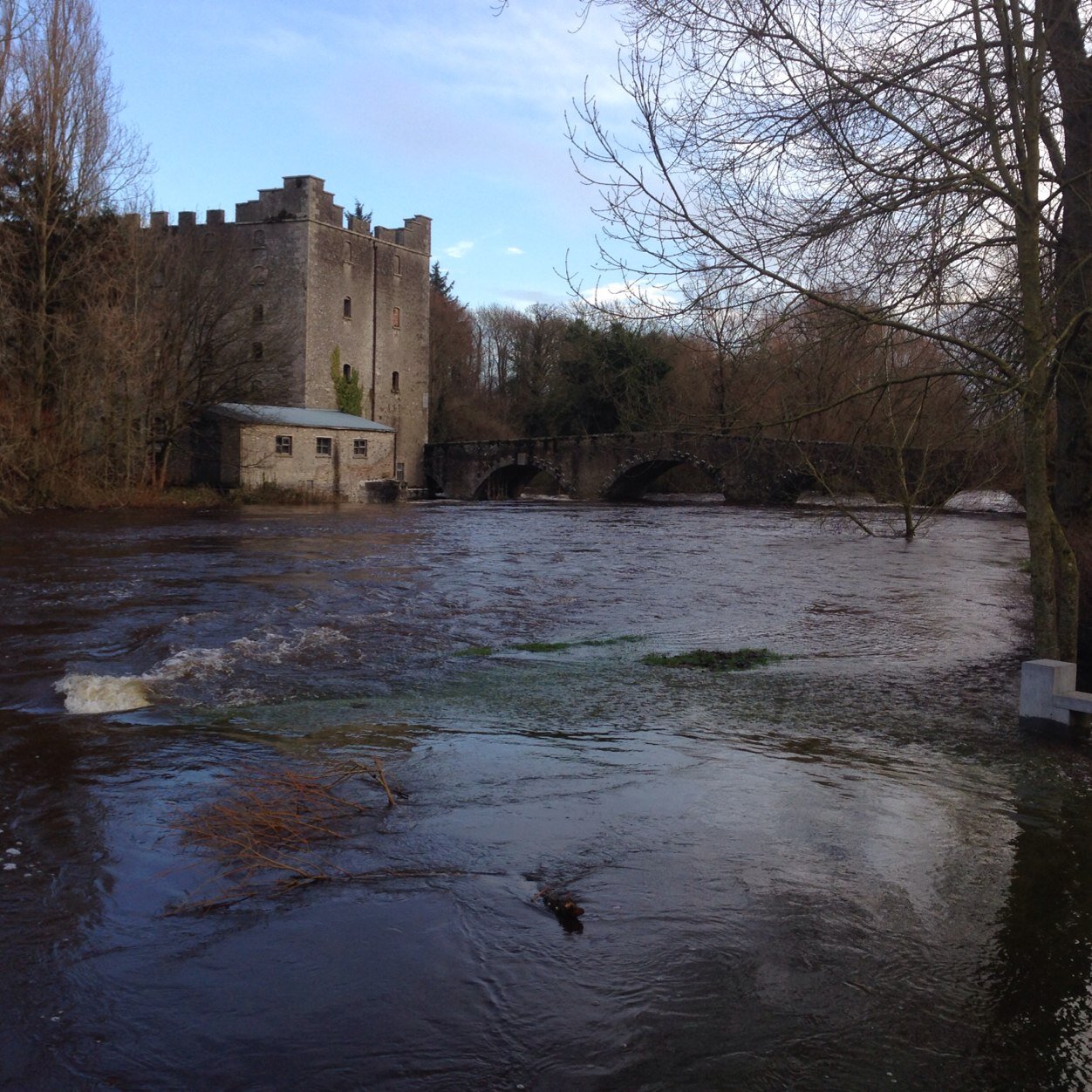 Carlovian77's profile picture. 