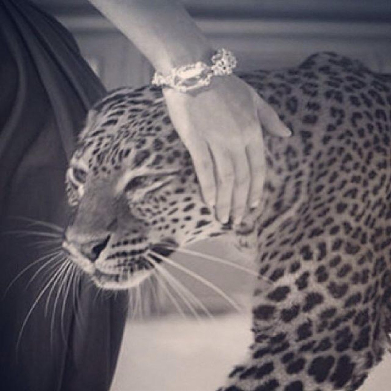 _ssihamx's profile picture. Alhamdullilah ten alle tijden