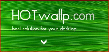 hotwallp's profile picture. 