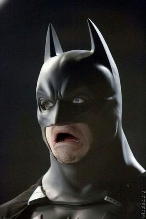 #StopSeaWorld. Blue and Cards season ticket holder, retired amateur golfer, local swordsman, STL sports fan.
